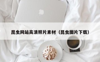 博尔塔拉昆虫网站高清照片素材（昆虫图片下载）
